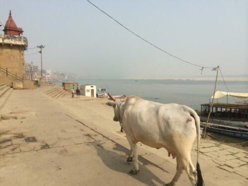 Varanasi