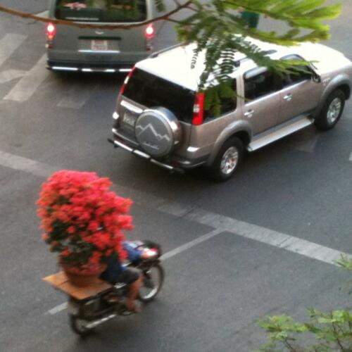 Saigon traffic