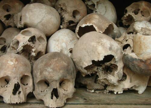 Killing Fields